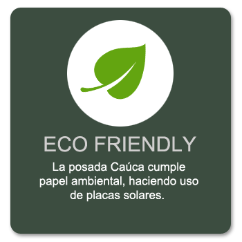 eco freindly icon